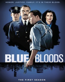 Blue Bloods staffel  1 stream