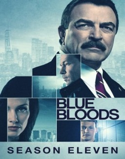 Blue Bloods staffel  11 stream