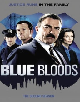 Blue Bloods staffel  2 stream