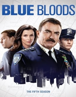 Blue Bloods staffel  5 stream