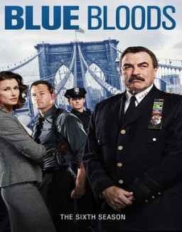 Blue Bloods staffel  6 stream