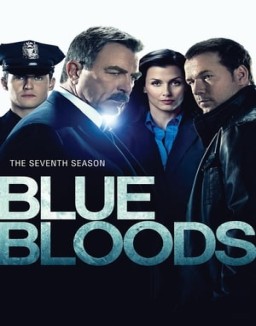 Blue Bloods staffel  7 stream