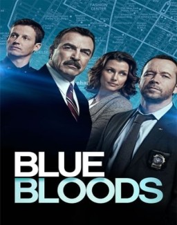 Blue Bloods staffel  8 stream