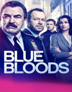 Blue Bloods staffel  9 stream