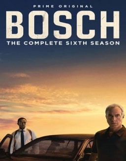 Bosch S6