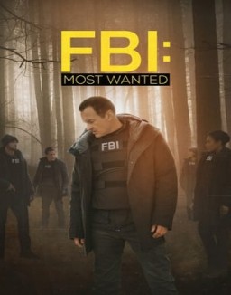 FBI: Most Wanted staffel  2 stream