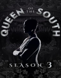 Queen of the South staffel  3 stream