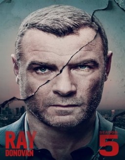 Ray Donovan staffel  5 stream