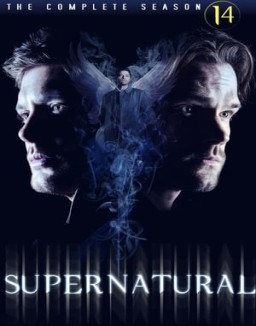 Supernatural staffel  14 stream