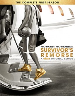 Survivor's Remorse staffel  1 stream