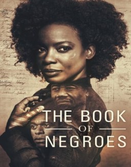 The Book of Negroes S1