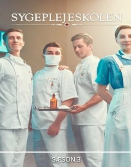 The New Nurses - Die Schwesternschule staffel  3 stream