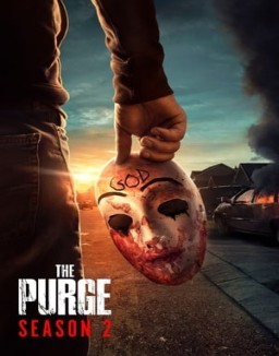 The Purge - Die Säuberung